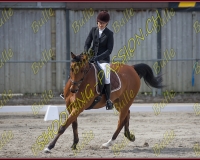 BULLE 0278